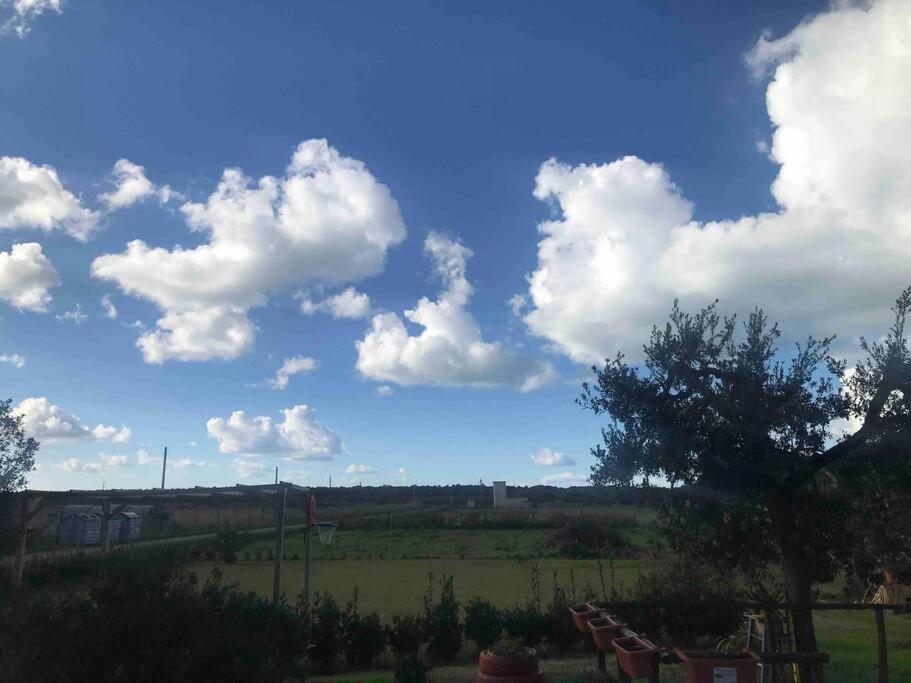 Agriturismo Il Sorbino - Appartamento Da Cocca Pian d'Alma Exterior foto