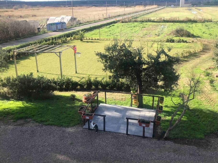 Agriturismo Il Sorbino - Appartamento Da Cocca Pian d'Alma Exterior foto